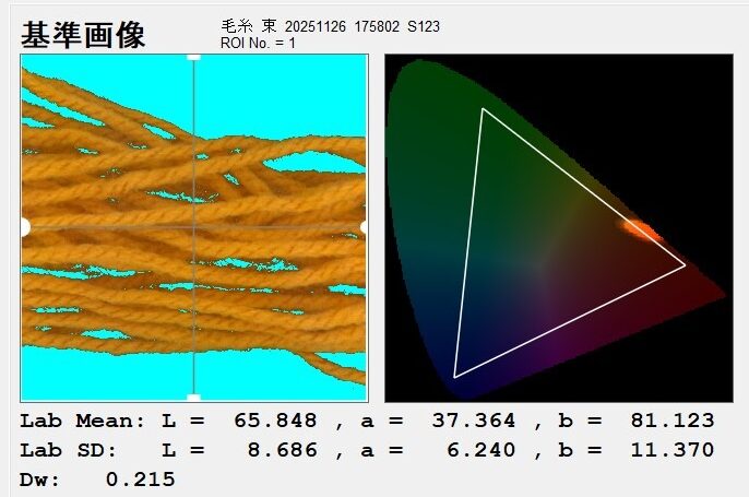 Measurement screen (masking function)